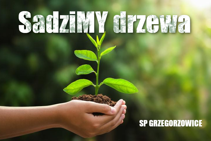 sadzimy drzewa