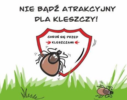 21 min